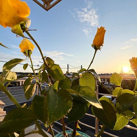 Corfu Airport Sweet Studio 外观 照片